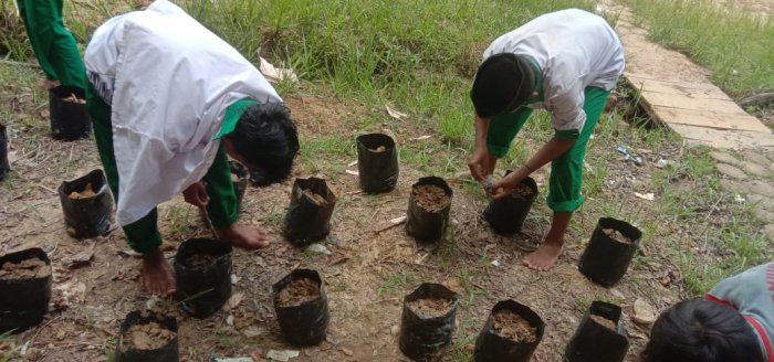 MTsN 8 Batang Hari Galakkan Program Hijau: Tanam Kangkung di Polybag