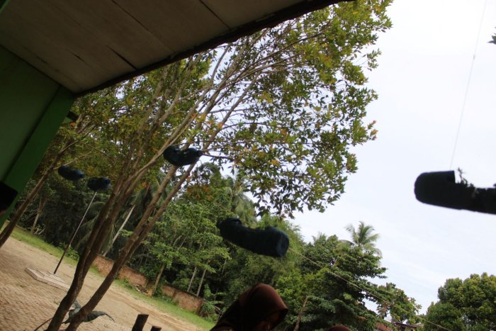 MTsN 8 Batang Hari Hijaukan Kelas dengan Bunga Kerokot Gantung